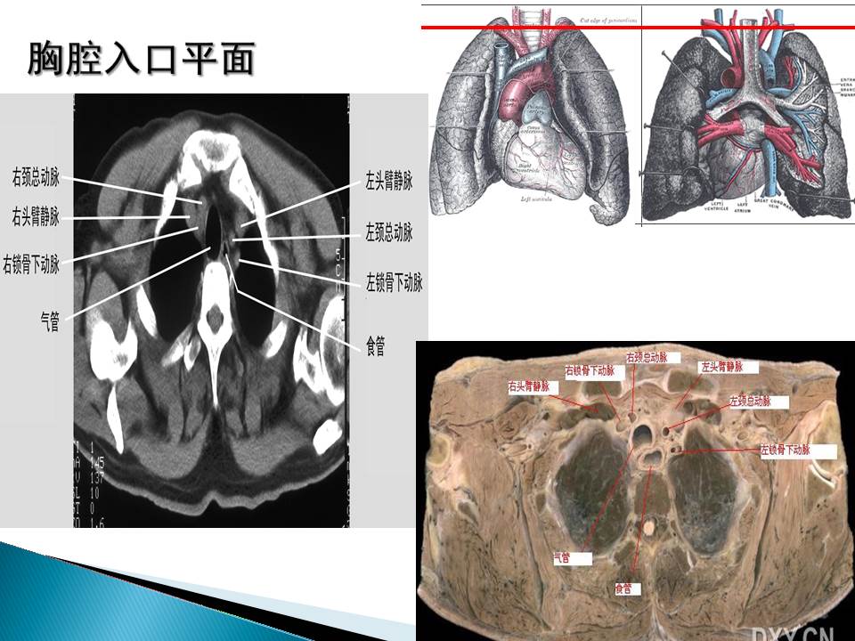 幻灯片37