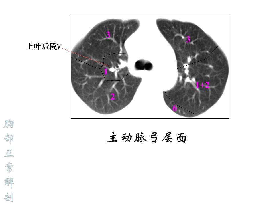 幻灯片54
