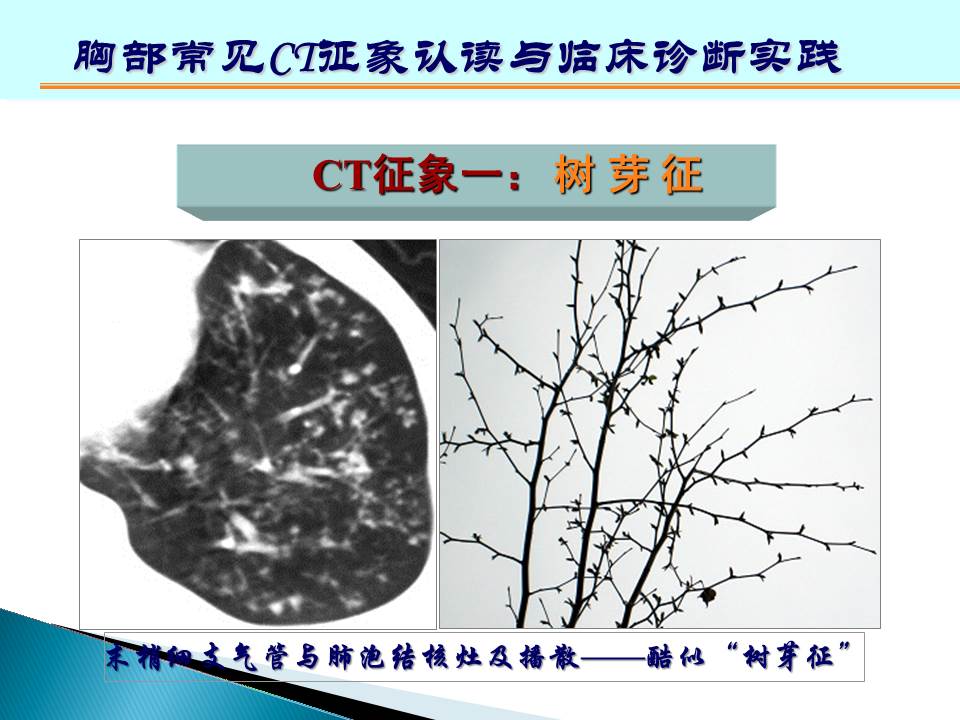 幻灯片97