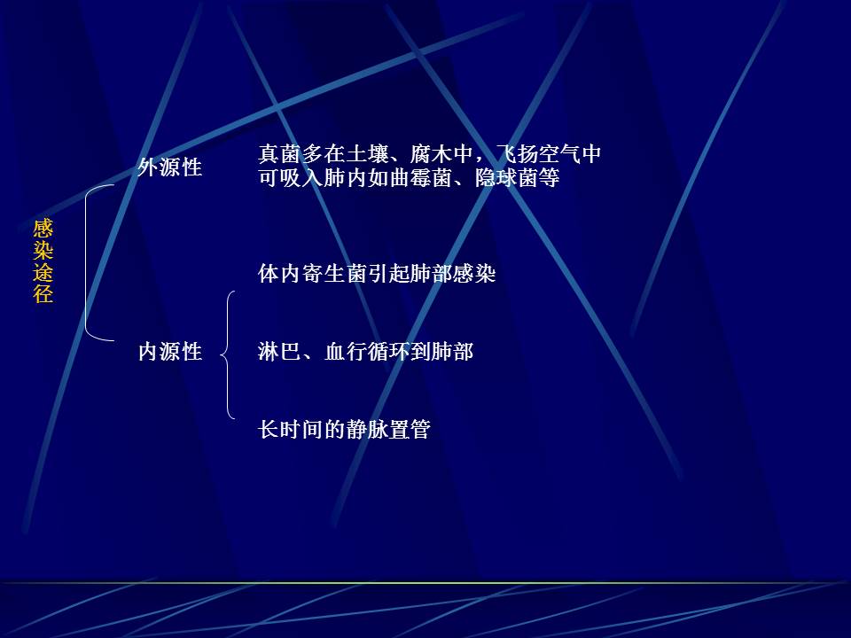 幻灯片3