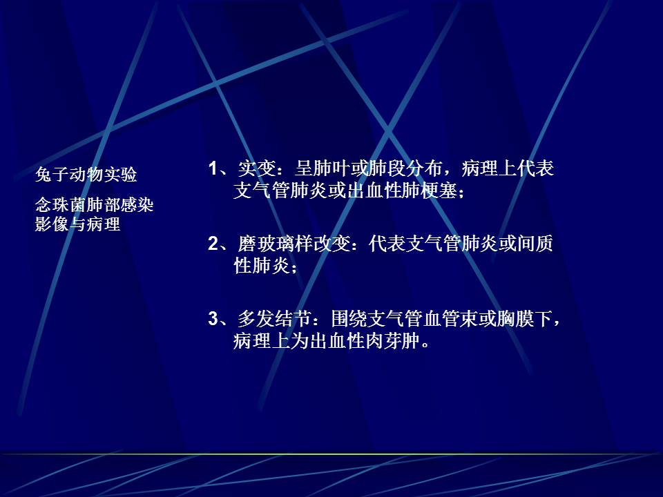 幻灯片11