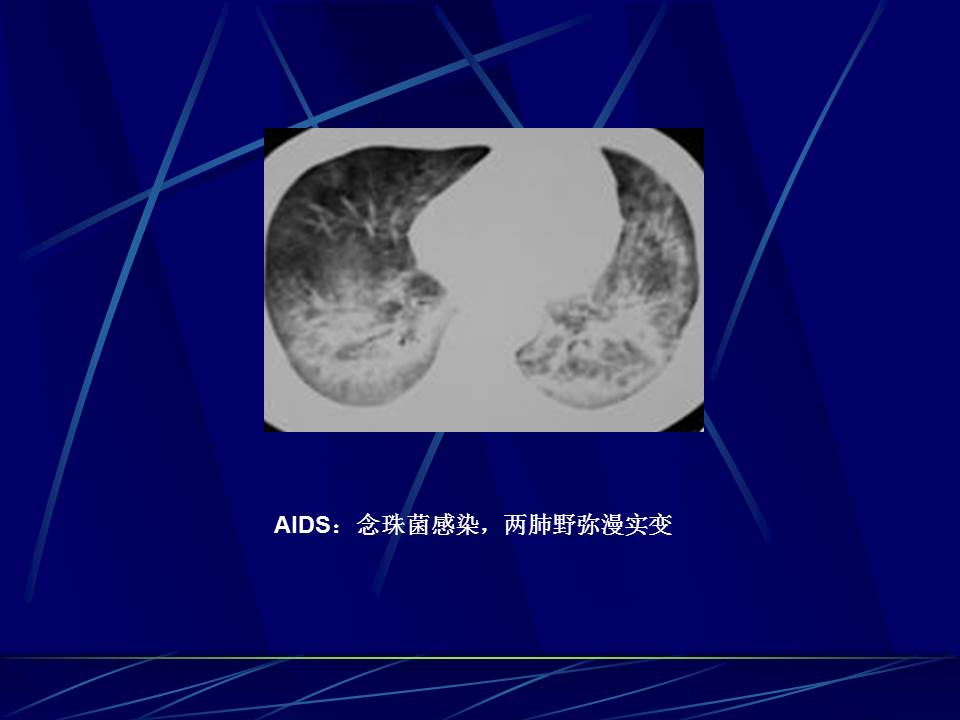 幻灯片19