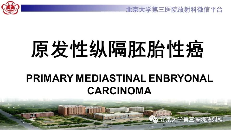 原发性纵隔胚胎性癌-10