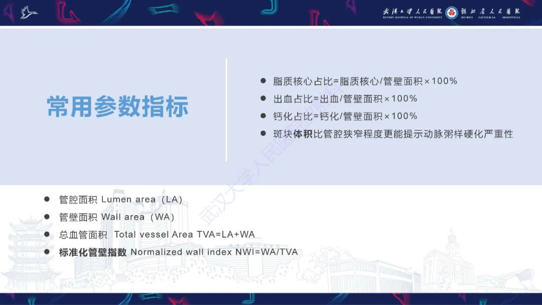 【PPT】颈动脉斑块HR-MR影像判读-10