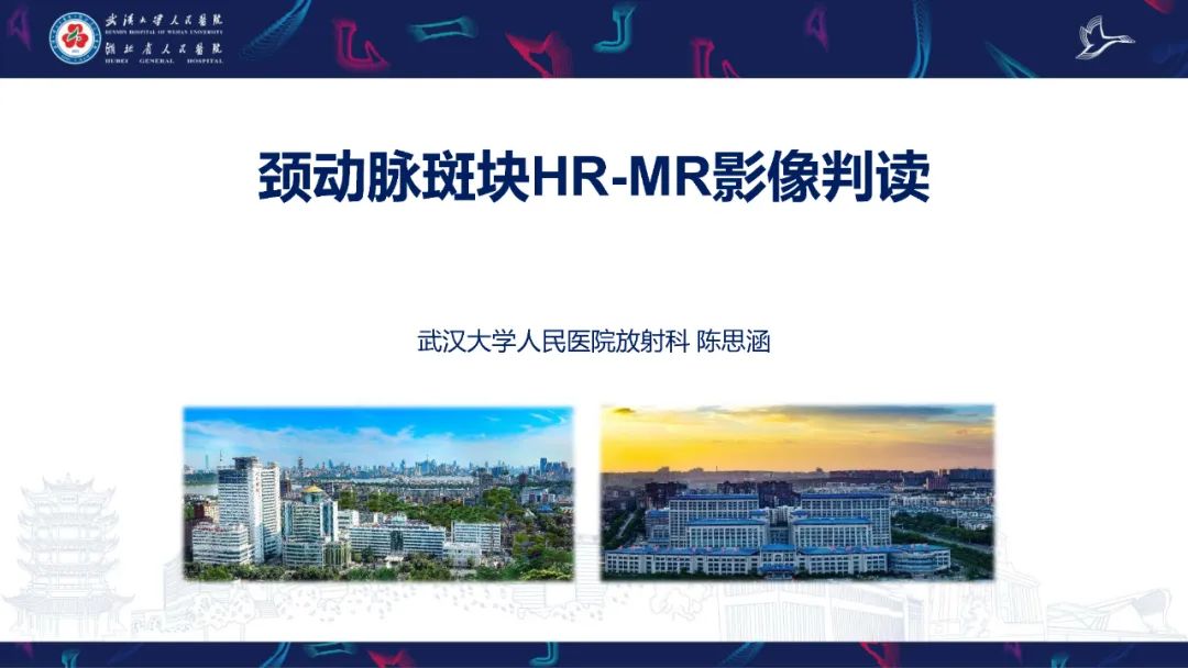 【PPT】颈动脉斑块HR-MR影像判读-1