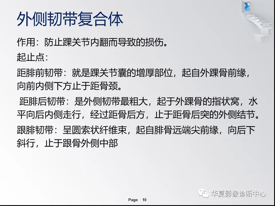 【PPT】踝关节韧带损伤MR表现与损伤机制分析-12