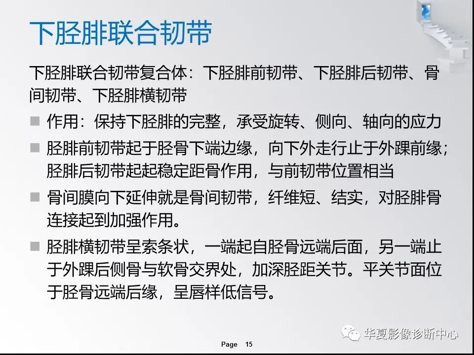 【PPT】踝关节韧带损伤MR表现与损伤机制分析-17