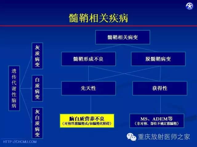 【PPT】脑白质髓鞘化及相关疾病的MRI表现-18