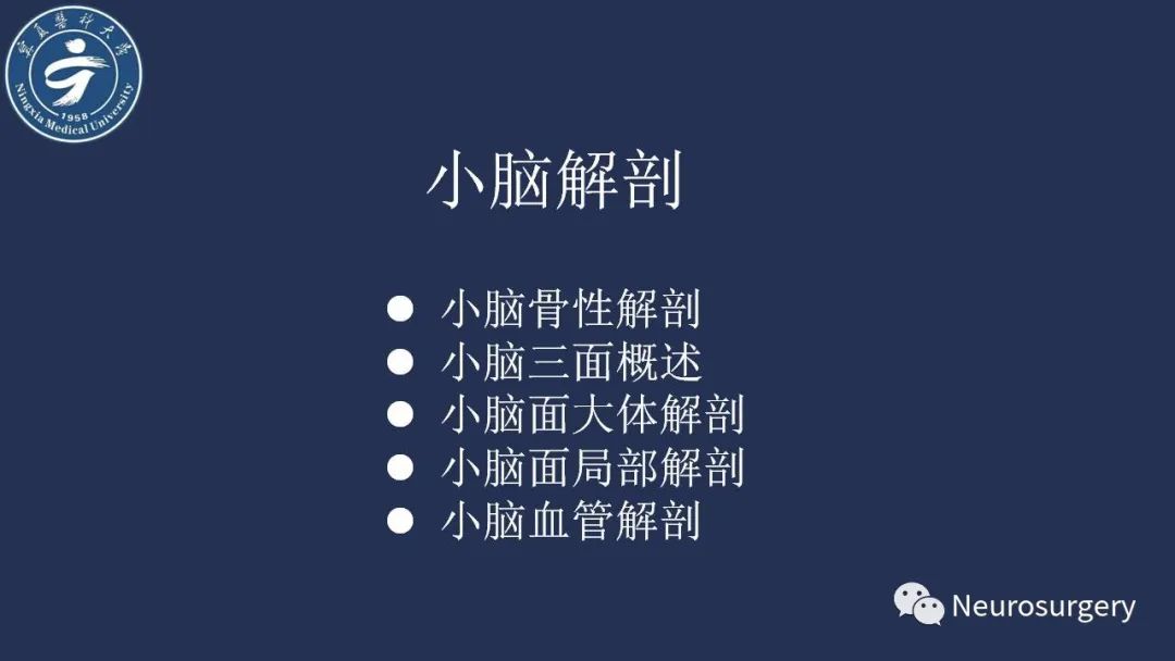 【PPT】小脑解剖-3