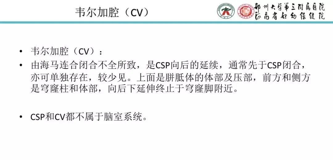 【PPT】透明隔腔的影像表现及临床意义-4