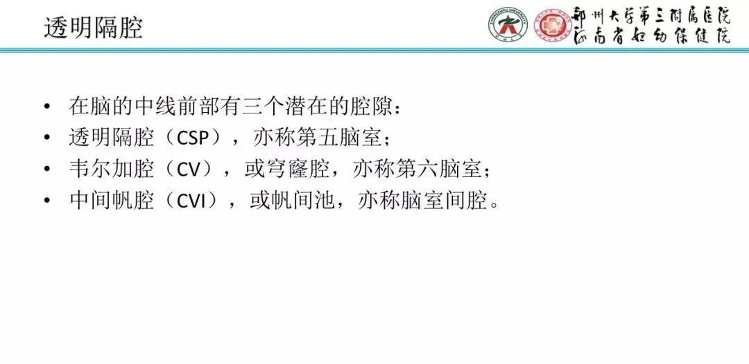 【PPT】透明隔腔的影像表现及临床意义-2