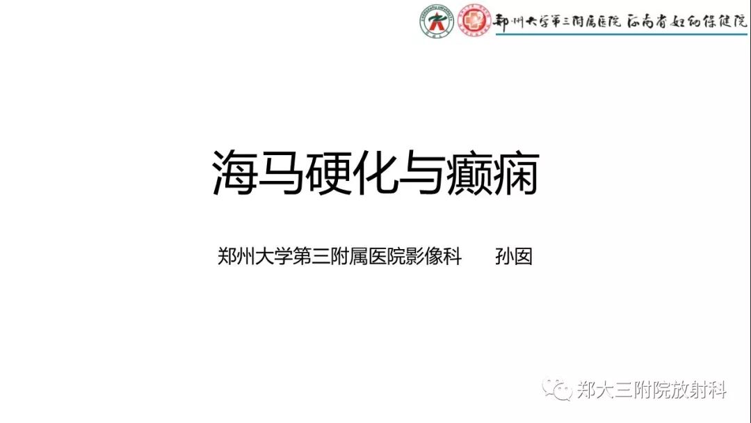海马硬化与癫痫