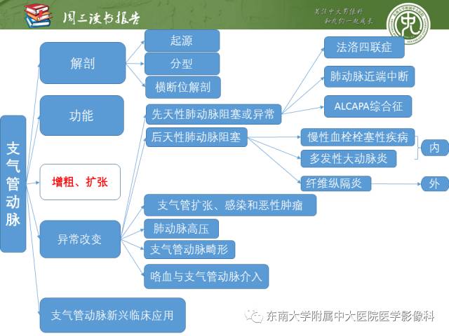 【PPT】支气管动脉：解剖、功能及增粗和异常改变