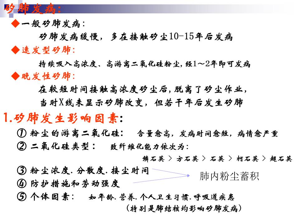 幻灯片14