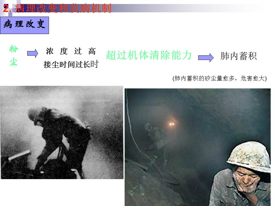 幻灯片15