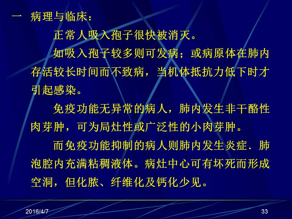 幻灯片33