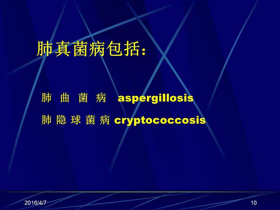 幻灯片10