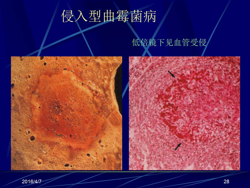 幻灯片28