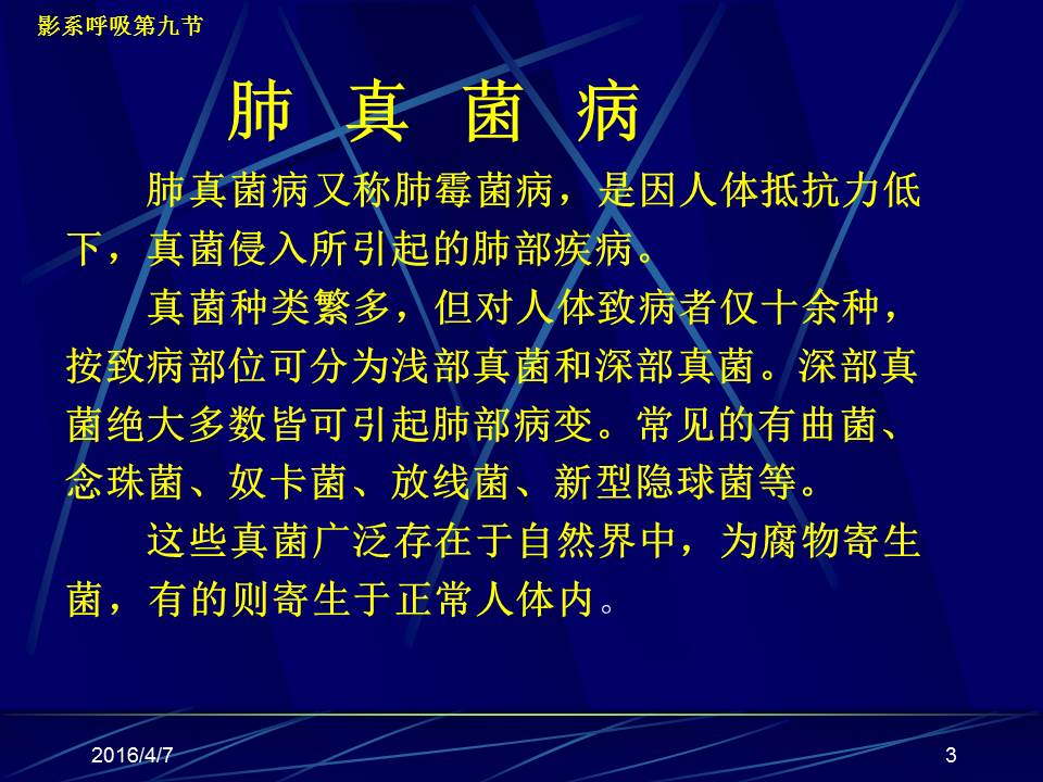 幻灯片3