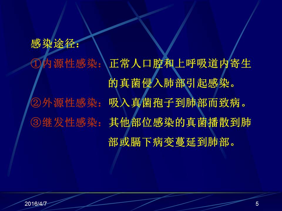 幻灯片5