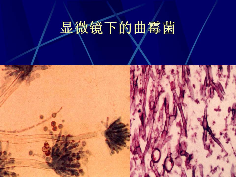幻灯片16