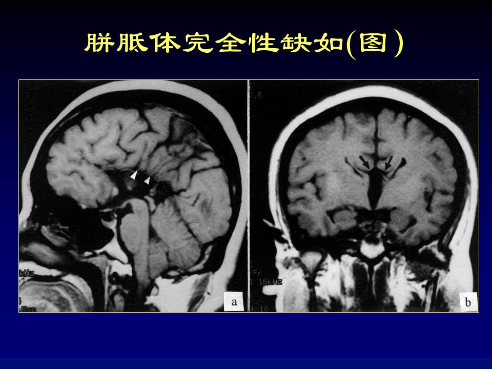 幻灯片27