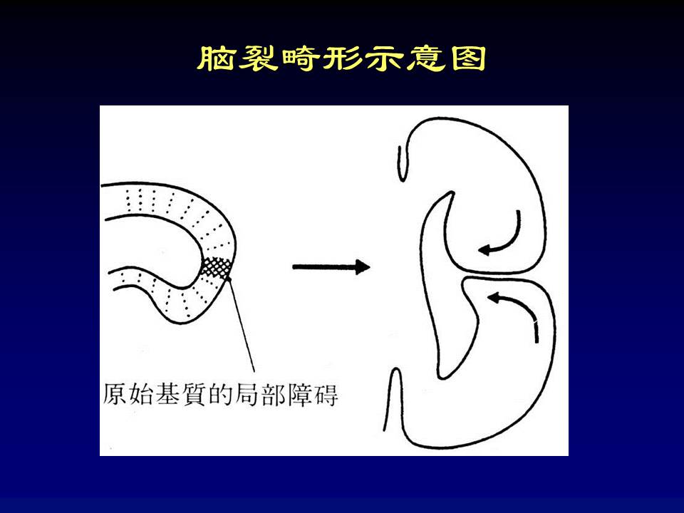 幻灯片50
