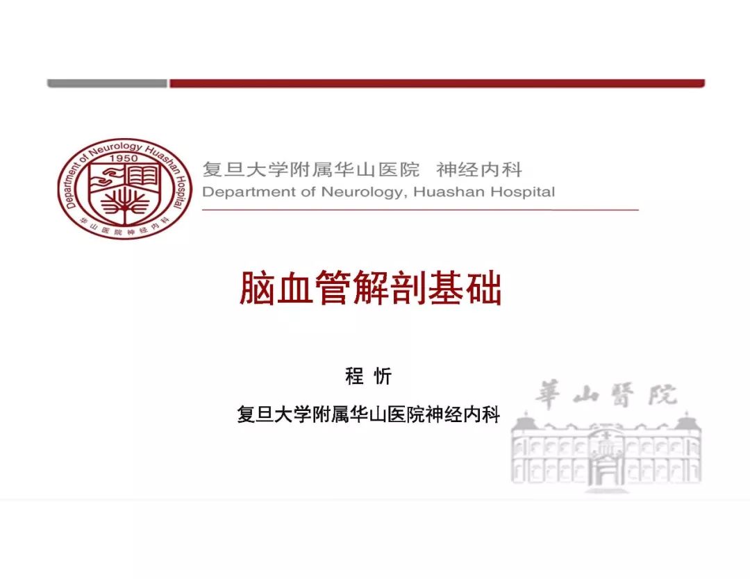 脑血管的解剖基础