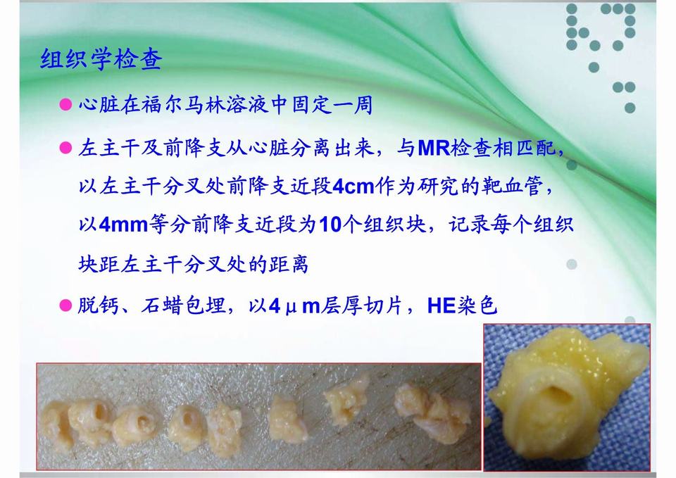 图51