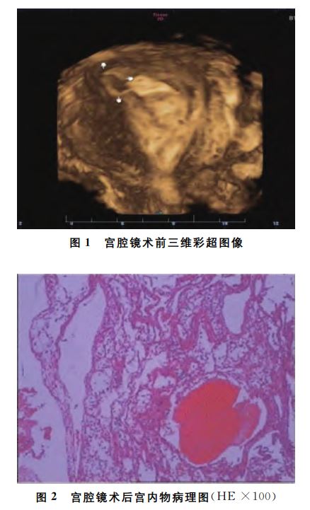 点击查看原图 1666666456249015.jpg