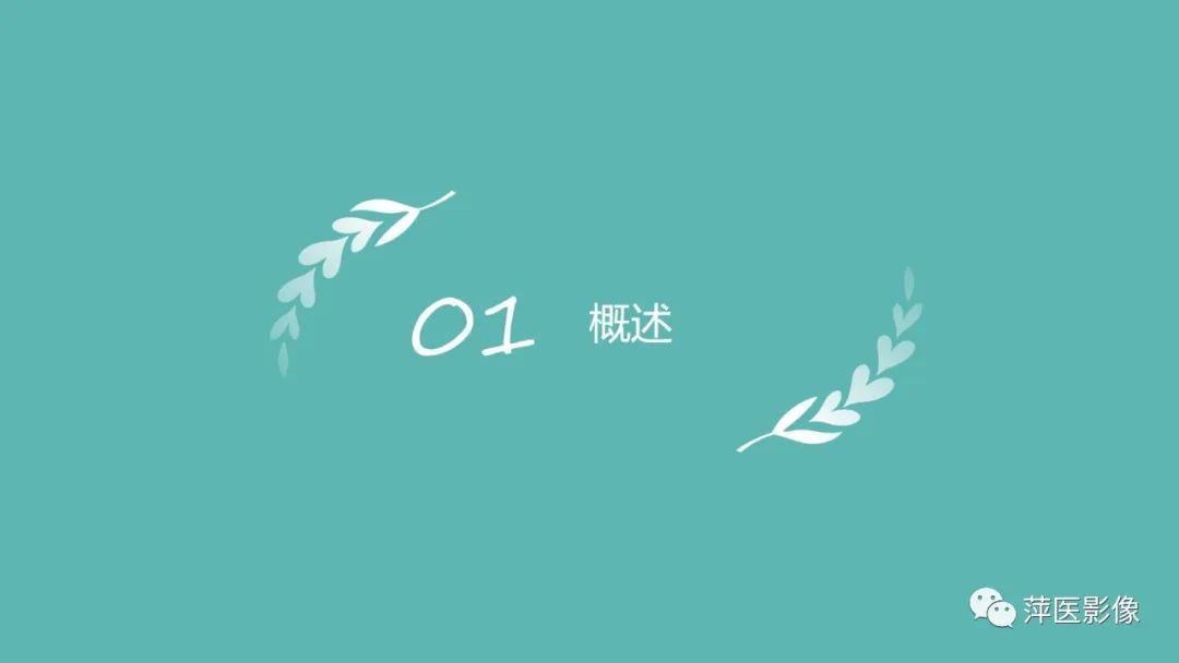 【PPT】胰腺实性假乳头状瘤-3