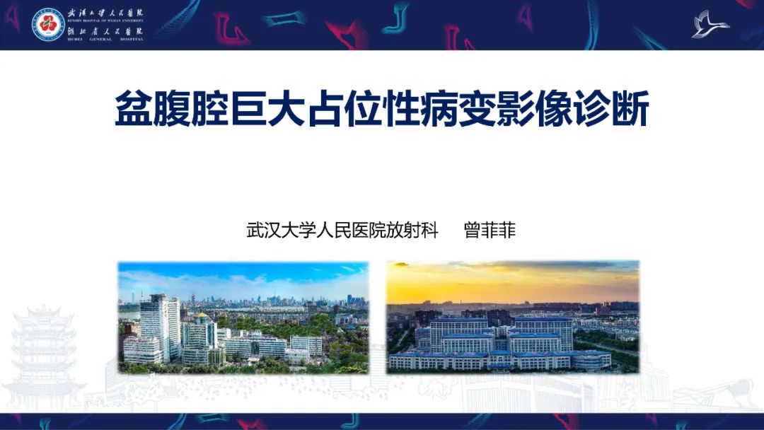 盆腹腔巨大占位性病变影像诊断