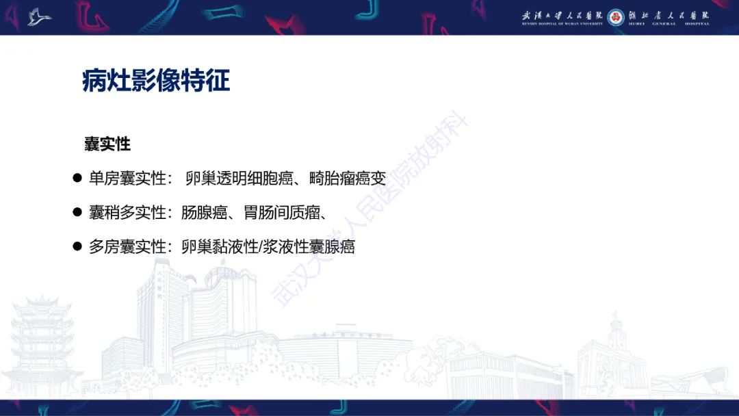 【PPT】盆腹腔巨大占位性病变影像诊断-65