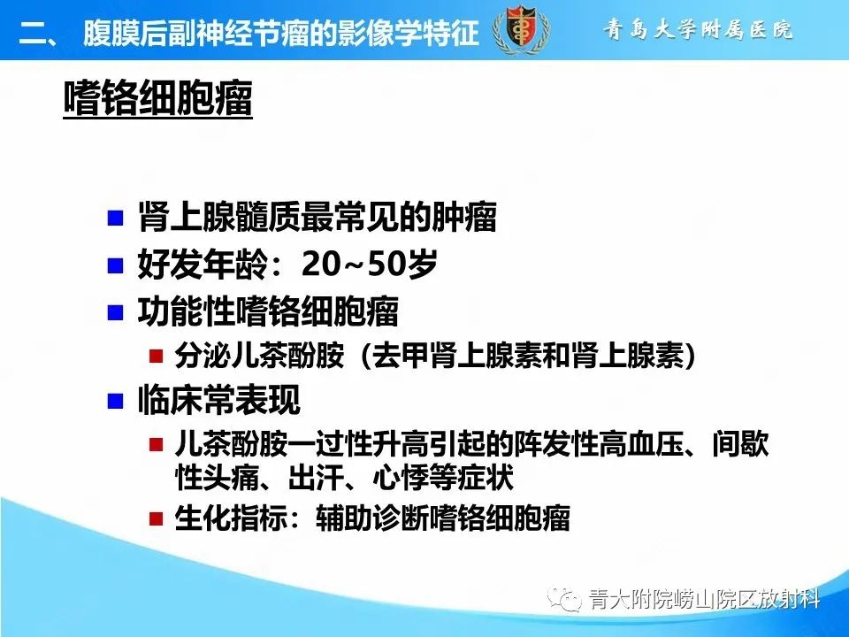 【病例】腹膜后副神经节瘤1例CT影像-19
