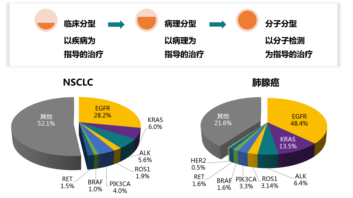 肺癌不同基因变异