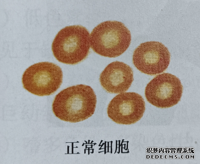 图片5.png