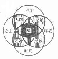 龋齿