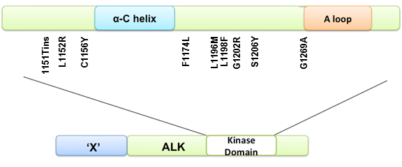 ALK_figure.png
