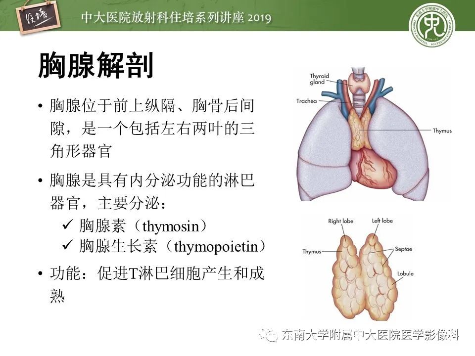 【PPT】胸腺上皮性肿瘤的影像诊断及鉴别