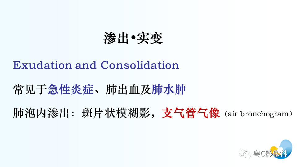 【PPT】儿童胸部影像诊断*基础病变