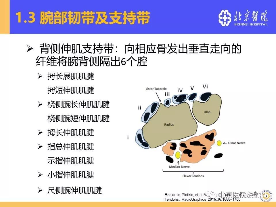 【PPT】三角纤维软骨复合体(TFCC)损伤 【PPT】三角纤维软骨复合体(TFCC)损伤