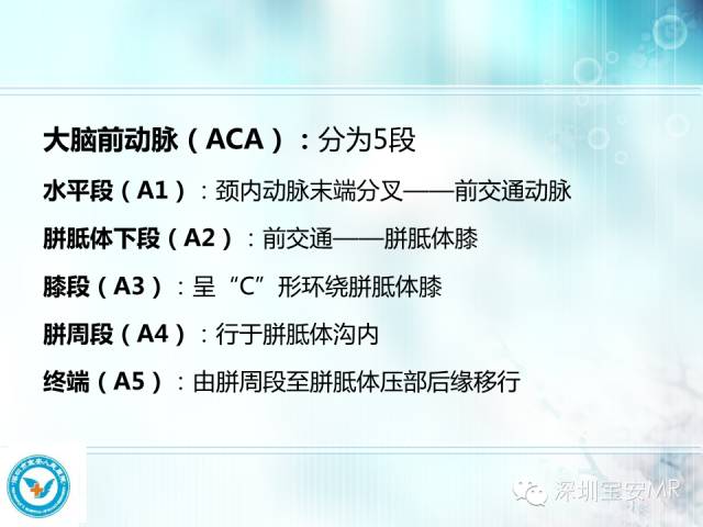【PPT】颅内动脉供血区域解剖及临床影像
