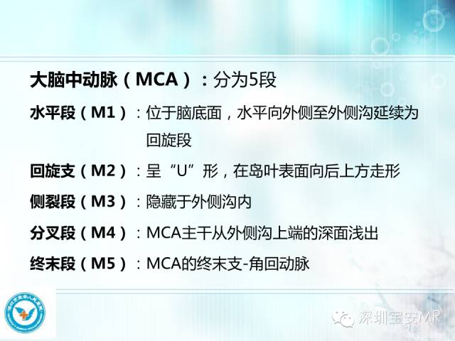 【PPT】颅内动脉供血区域解剖及临床影像