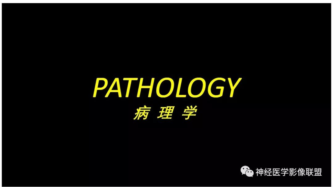【PPT】内窥镜对照的喉部CT解剖学研究