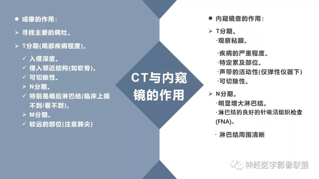 【PPT】内窥镜对照的喉部CT解剖学研究