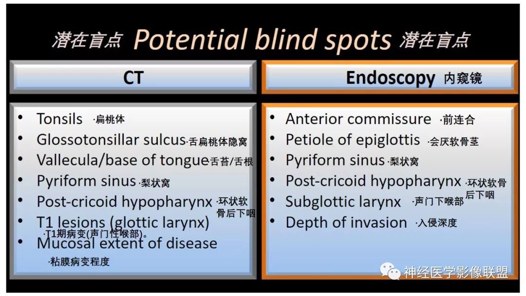 【PPT】内窥镜对照的喉部CT解剖学研究
