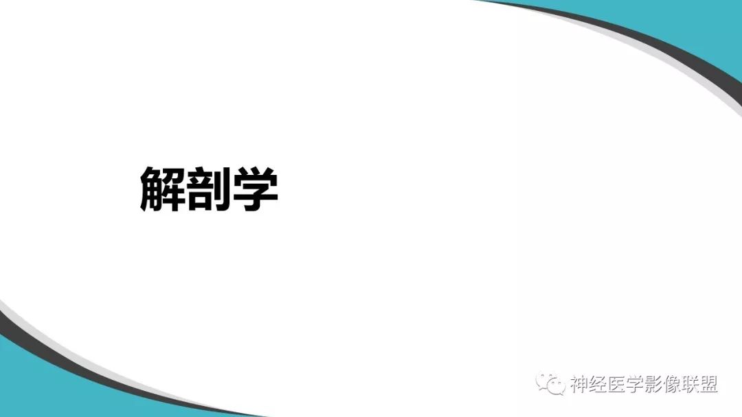 【PPT】内窥镜对照的喉部CT解剖学研究
