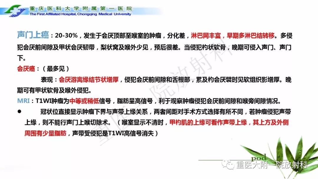 【PPT】咽部解剖及T分期影像诊断