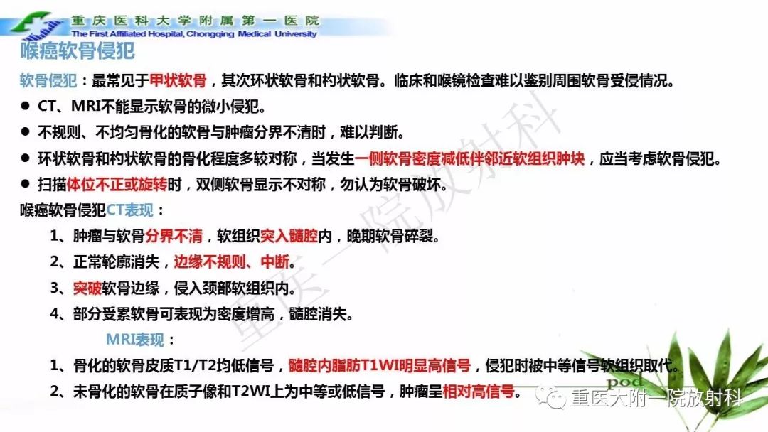 【PPT】咽部解剖及T分期影像诊断