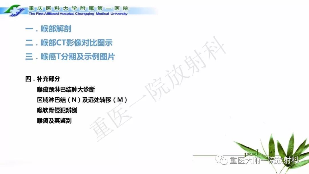 【PPT】咽部解剖及T分期影像诊断